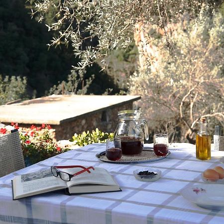 Kleanthi'S House Villa Chania  ภายนอก รูปภาพ