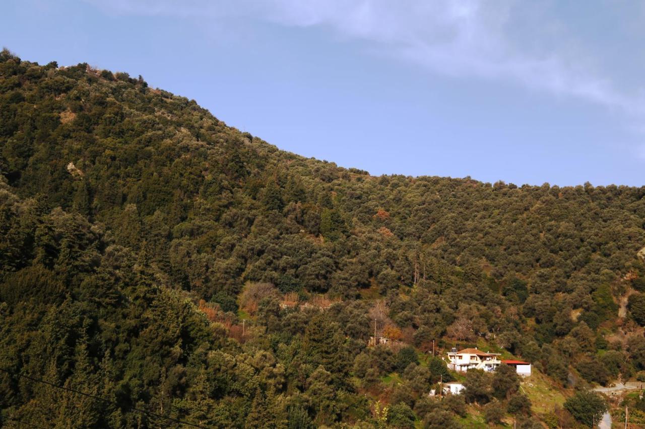 Kleanthi'S House Villa Chania  ภายนอก รูปภาพ